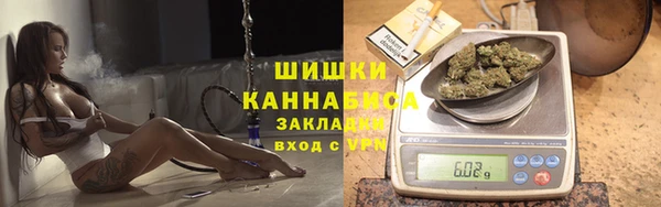 шишки Армянск