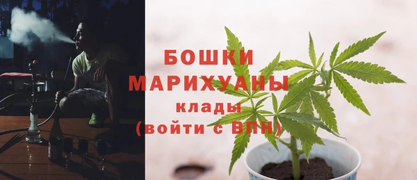 шишки Армянск