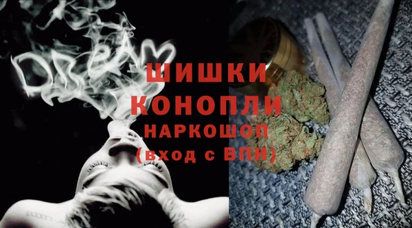 шишки Армянск
