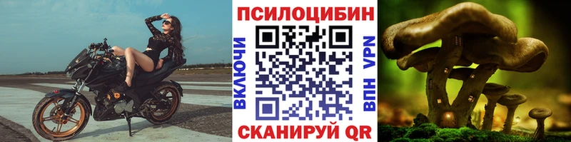 Псилоцибиновые грибы ЛСД  Гаджиево 